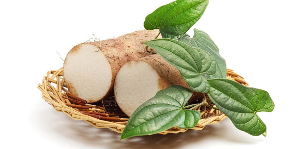 Див ям: билка за хормонален баланс, контрол на възпалението и добро метаболитно здраве